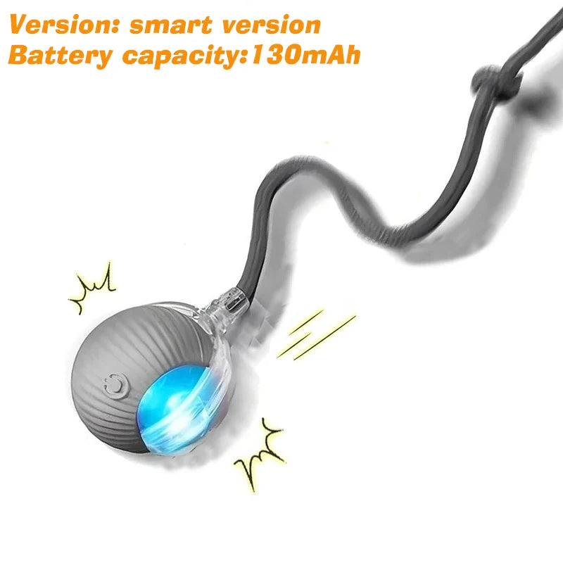 Interactive Rolling Ball Toy for Dogs – Automatic & Rechargeable