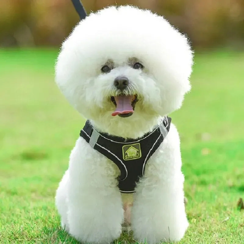 No-Pull Dog Harness & Leash Set – Breathable Mesh Vest for Small Dogs