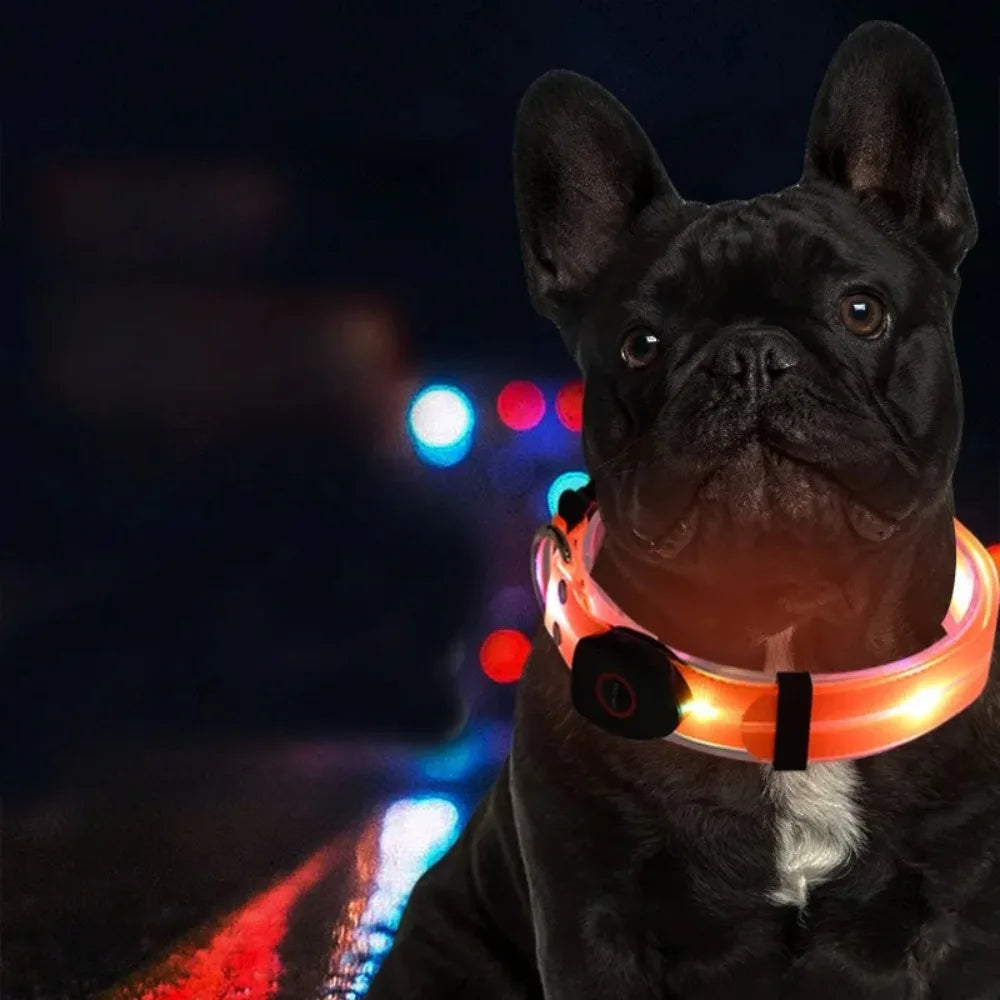 LED Glowing Dog Collar & Leash Set – Rechargeable, Adjustable & Weatherproof