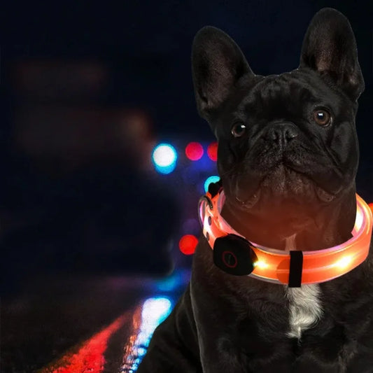 LED Glowing Dog Collar & Leash Set – Rechargeable, Adjustable & Weatherproof