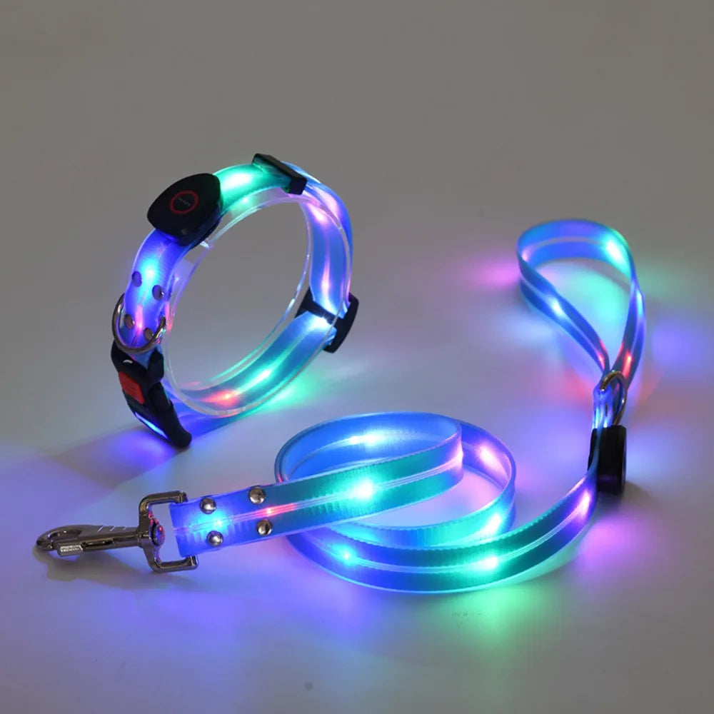 LED Glowing Dog Collar & Leash Set – Rechargeable, Adjustable & Weatherproof