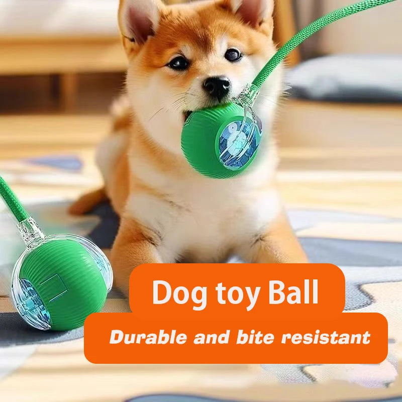 Interactive Rolling Ball Toy for Dogs – Automatic & Rechargeable