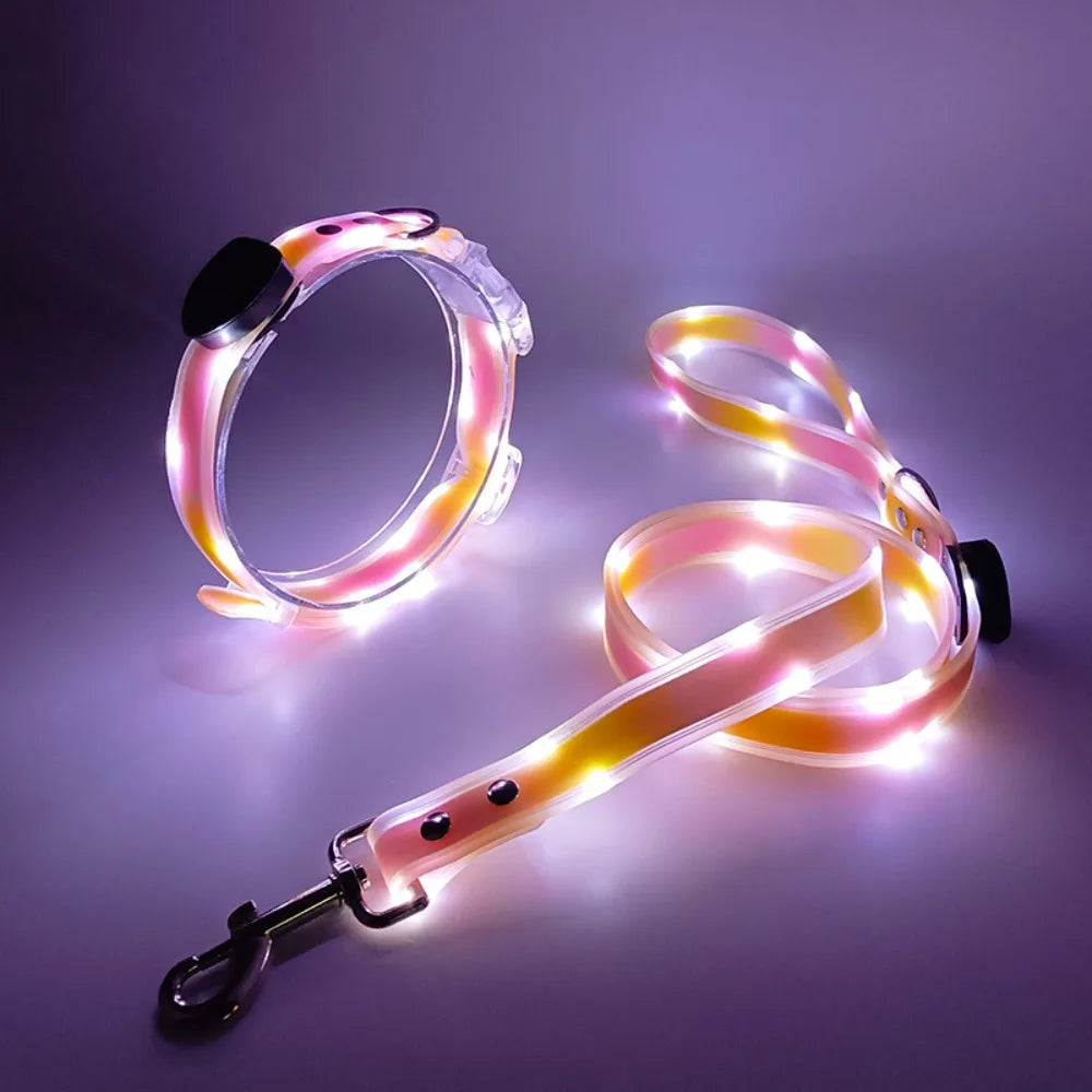 LED Glowing Dog Collar & Leash Set – Rechargeable, Adjustable & Weatherproof