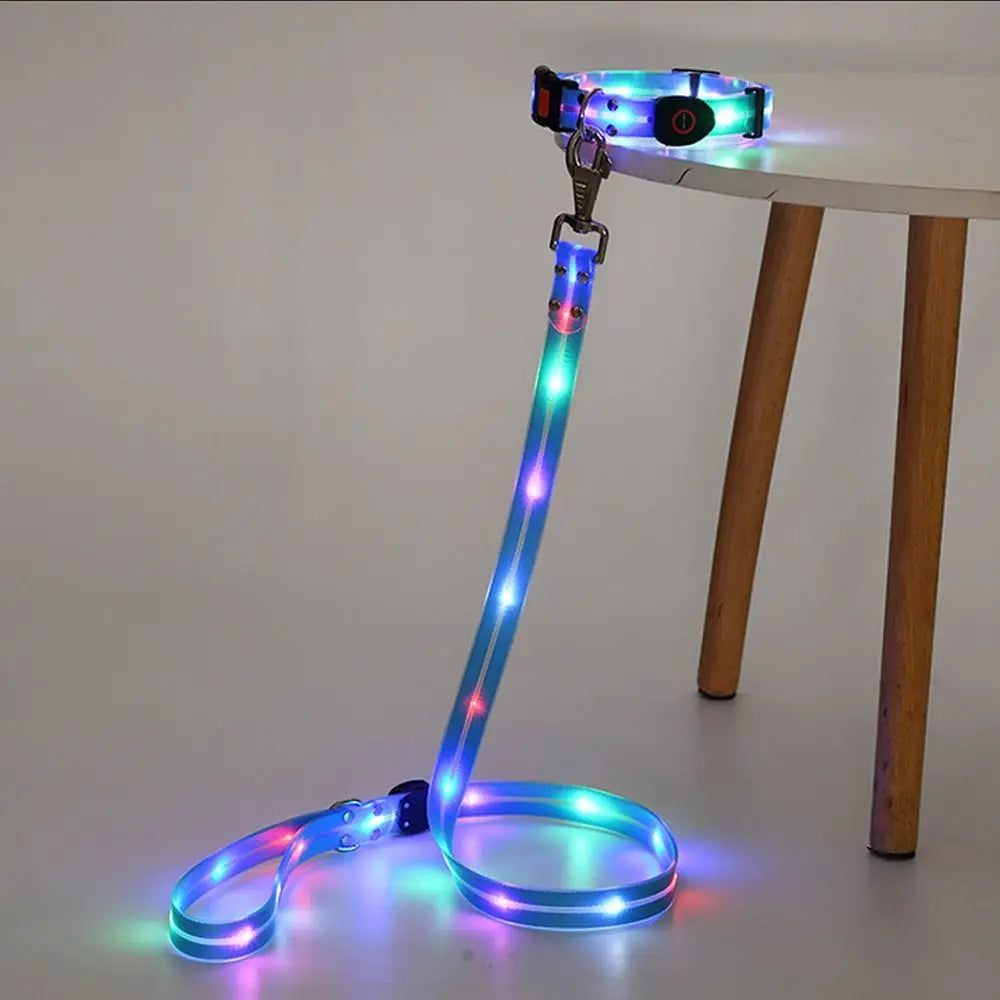 LED Glowing Dog Collar & Leash Set – Rechargeable, Adjustable & Weatherproof
