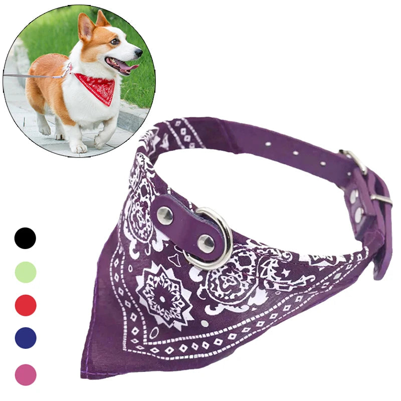 Dog Collar with Bandana Scarf – Adjustable for Small & Medium Dogs