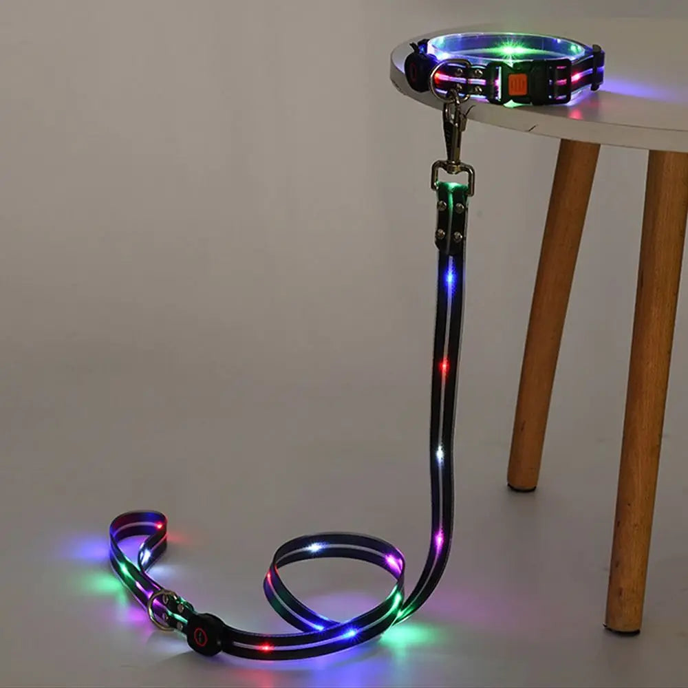 LED Glowing Dog Collar & Leash Set – Rechargeable, Adjustable & Weatherproof