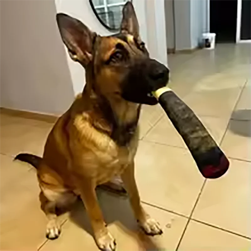 Squeaky Cigar Dog Toy – Funny Plush Chew Toy for Small Dogs