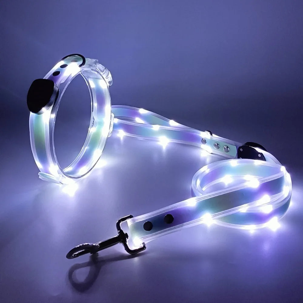 LED Glowing Dog Collar & Leash Set – Rechargeable, Adjustable & Weatherproof