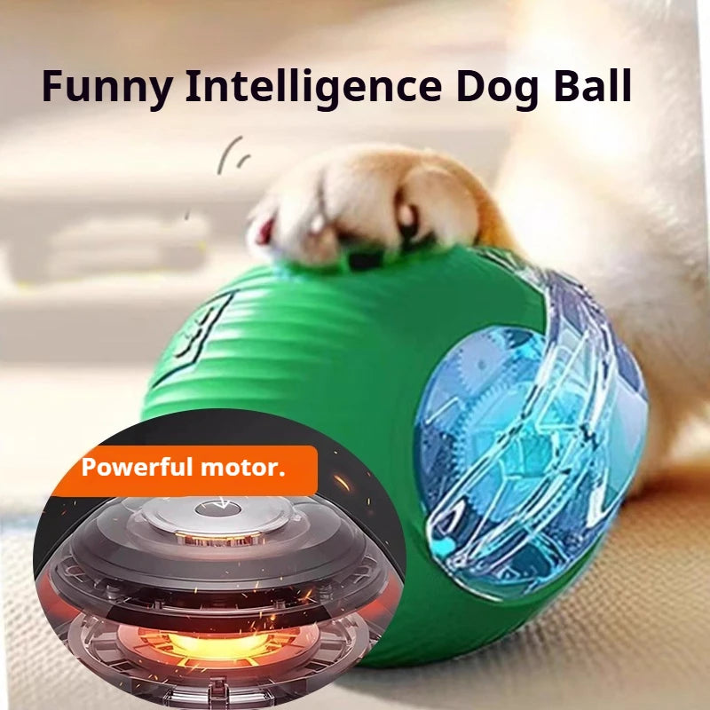 Interactive Rolling Ball Toy for Dogs – Automatic & Rechargeable