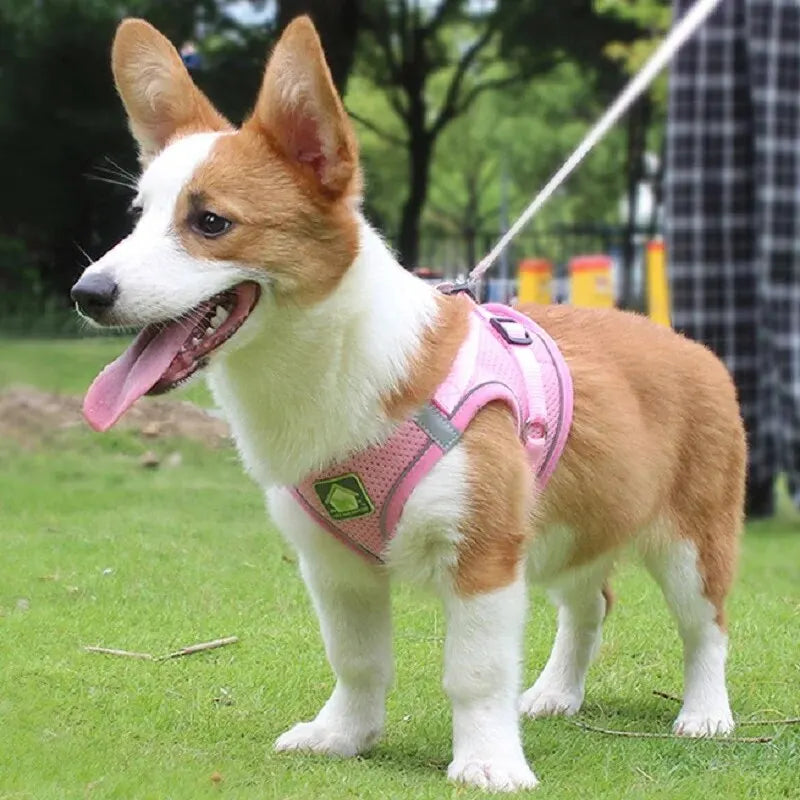 No-Pull Dog Harness & Leash Set – Breathable Mesh Vest for Small Dogs