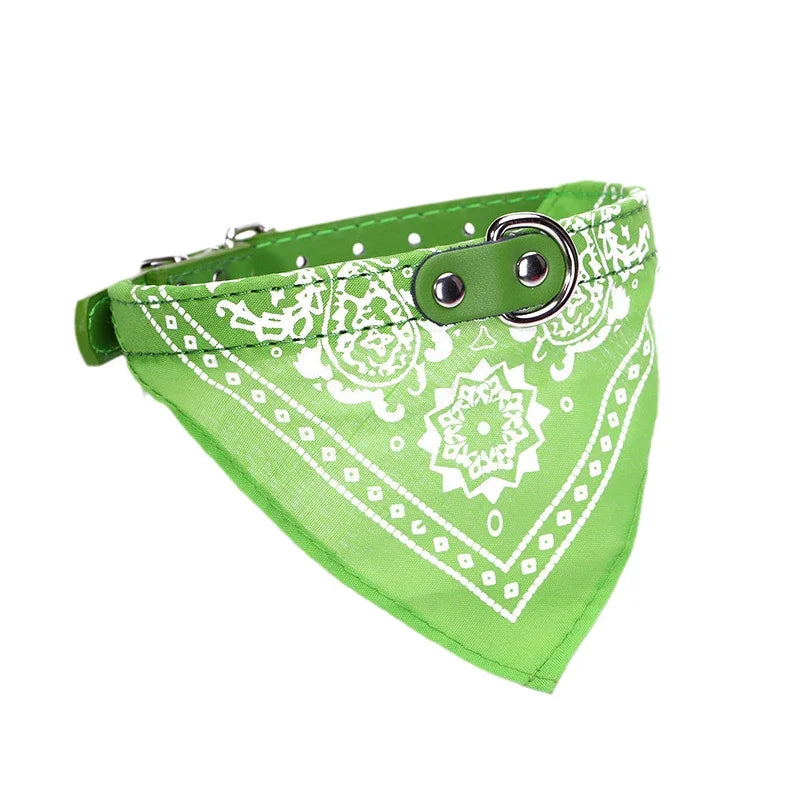 Dog Collar with Bandana Scarf – Adjustable for Small & Medium Dogs