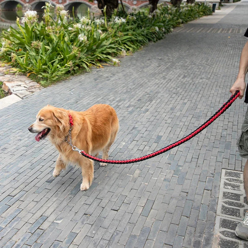 4.5ft Heavy Duty Dog Leash – Braided Nylon Lead for All Breeds | Walking, Hunting & Camping