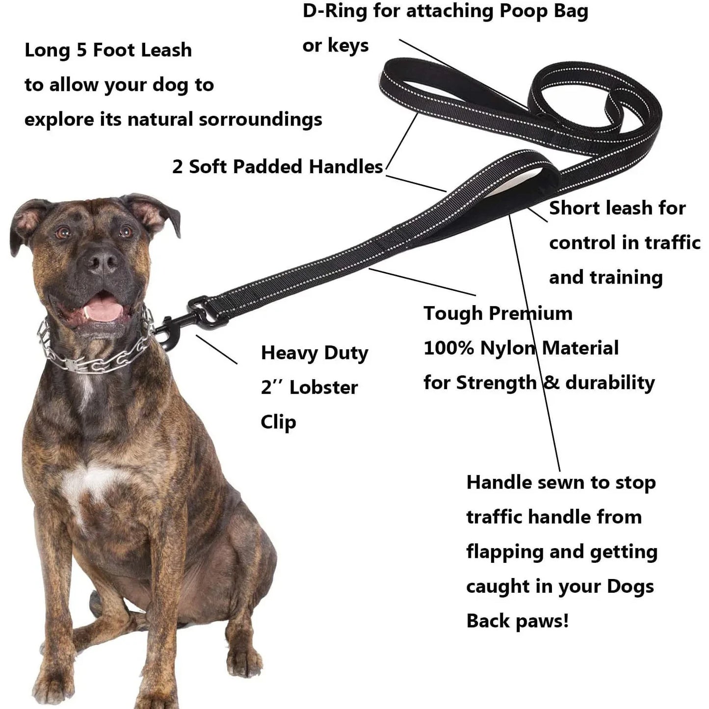 Heavy Duty Double Handle Dog Training Leash – Dual Grip Lead for Superior Control & Safety