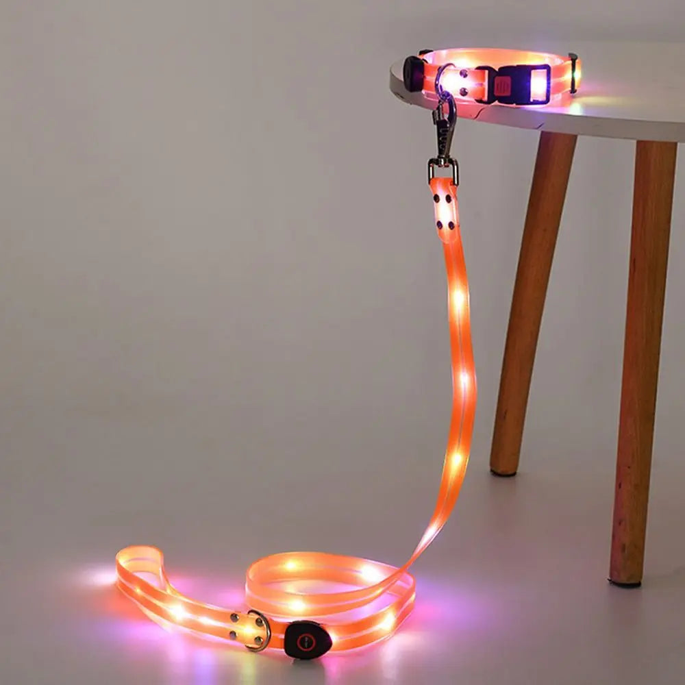 LED Glowing Dog Collar & Leash Set – Rechargeable, Adjustable & Weatherproof