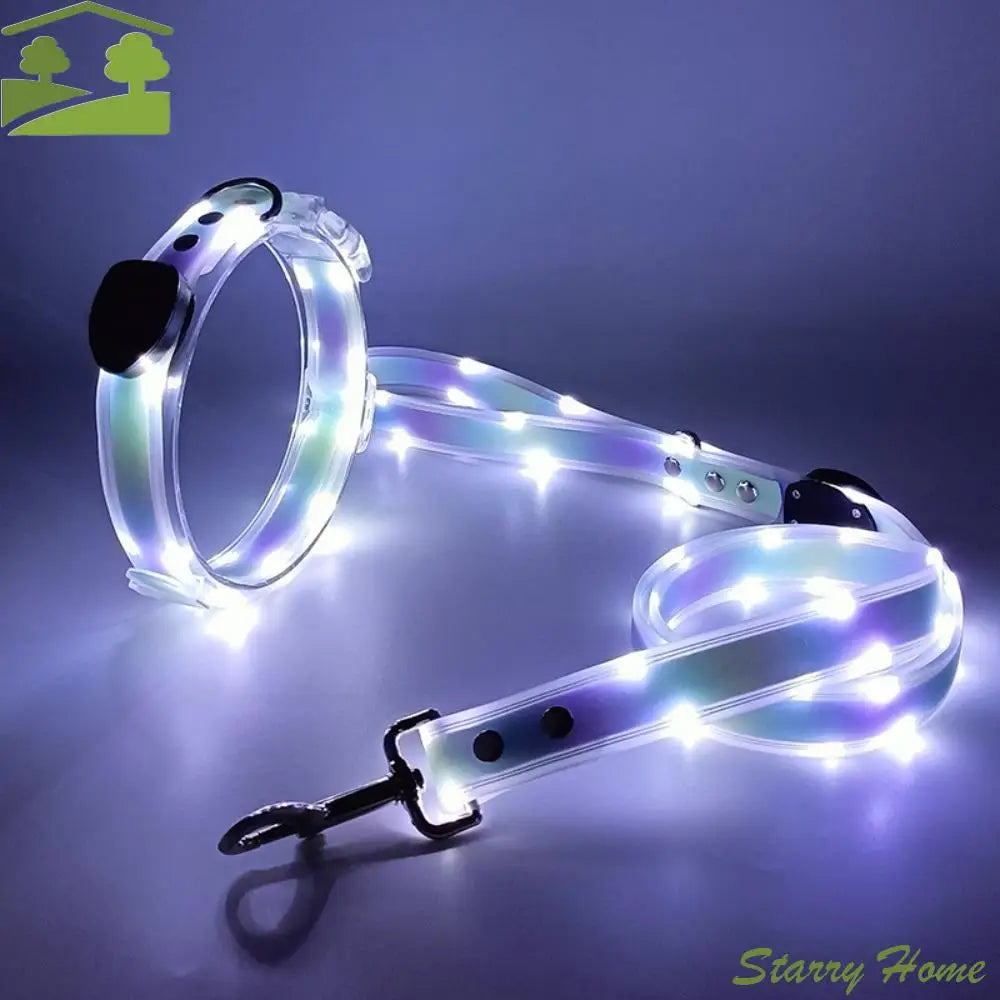 LED Glowing Dog Collar & Leash Set – Rechargeable, Adjustable & Weatherproof