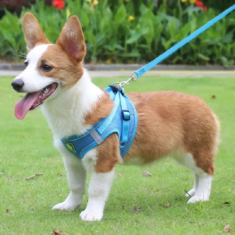 No-Pull Dog Harness & Leash Set – Breathable Mesh Vest for Small Dogs