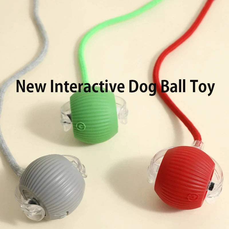 Interactive Rolling Ball Toy for Dogs – Automatic & Rechargeable