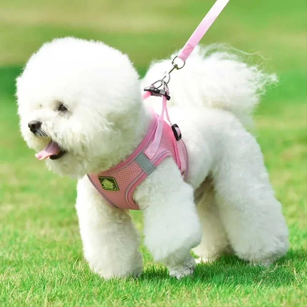 No-Pull Dog Harness & Leash Set – Breathable Mesh Vest for Small Dogs