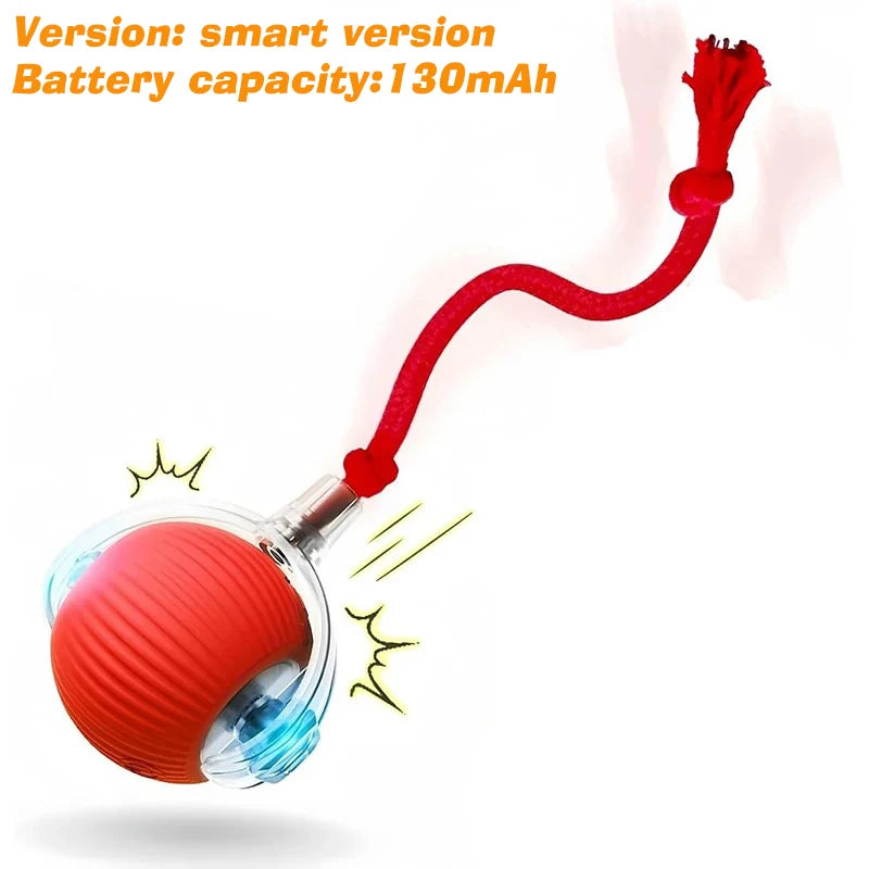 Interactive Rolling Ball Toy for Dogs – Automatic & Rechargeable