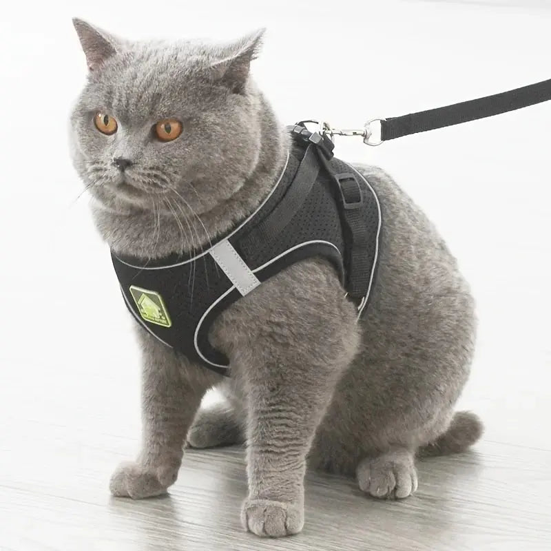 No-Pull Dog Harness & Leash Set – Breathable Mesh Vest for Small Dogs