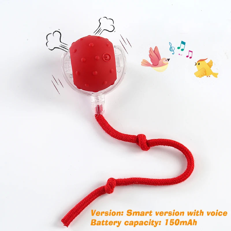 Interactive Rolling Ball Toy for Dogs – Automatic & Rechargeable