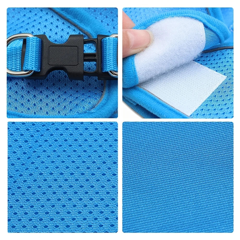 No-Pull Dog Harness & Leash Set – Breathable Mesh Vest for Small Dogs
