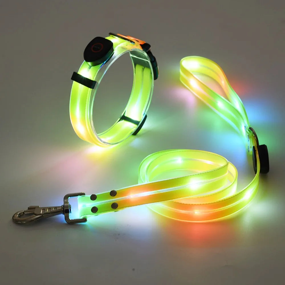 LED Glowing Dog Collar & Leash Set – Rechargeable, Adjustable & Weatherproof