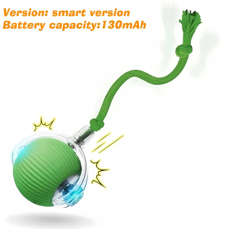 Interactive Rolling Ball Toy for Dogs – Automatic & Rechargeable