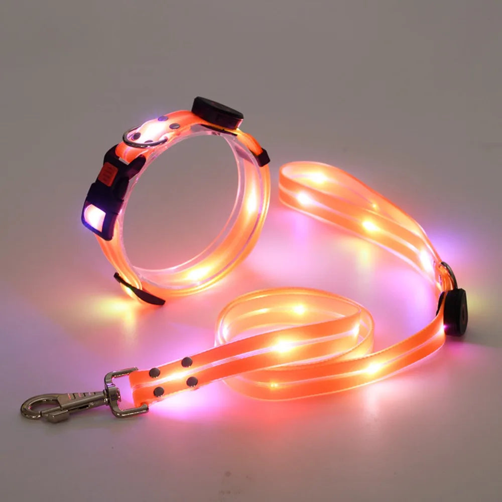 LED Glowing Dog Collar & Leash Set – Rechargeable, Adjustable & Weatherproof
