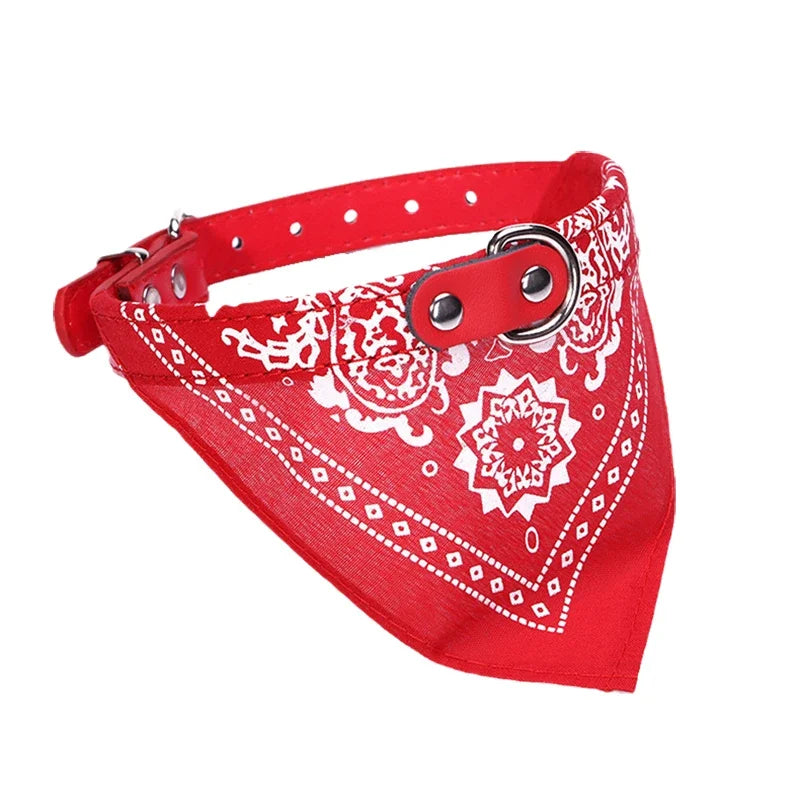 Dog Collar with Bandana Scarf – Adjustable for Small & Medium Dogs