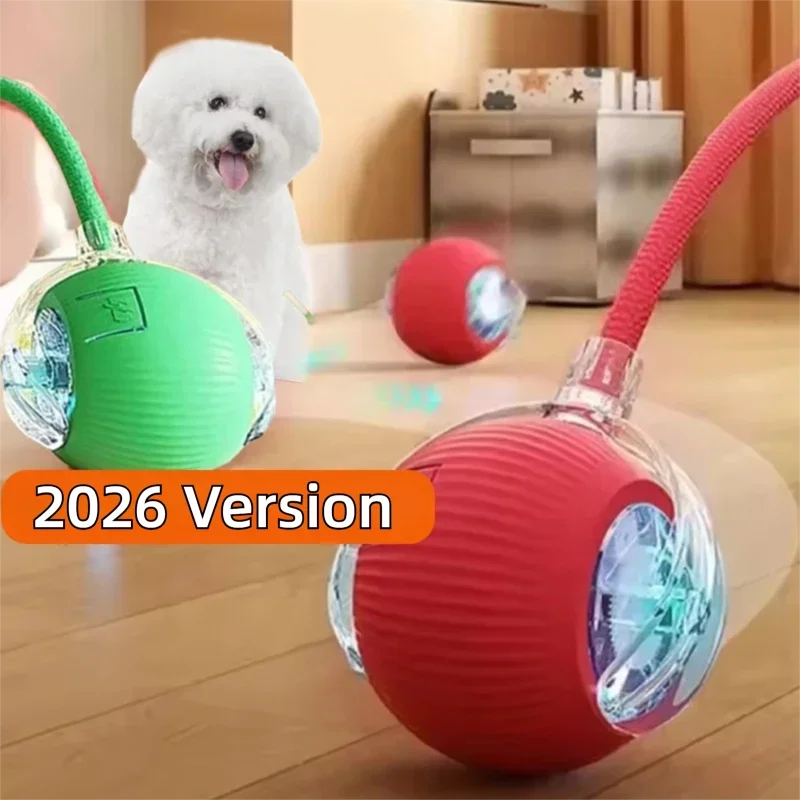 Interactive Rolling Ball Toy for Dogs – Automatic & Rechargeable