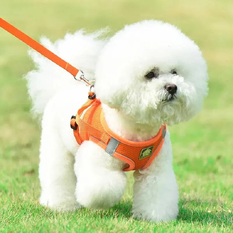 No-Pull Dog Harness & Leash Set – Breathable Mesh Vest for Small Dogs
