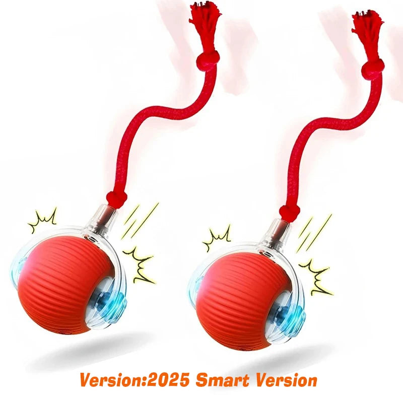 Interactive Rolling Ball Toy for Dogs – Automatic & Rechargeable